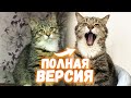 Спасение котенка Кузи. Полная версия / SANI vlog