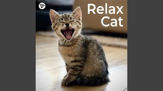 Harmony in the Cat Nap