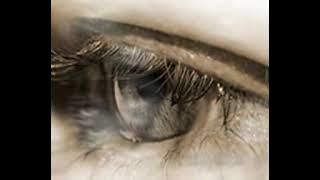 ... Na świecie tyle bólu i łez....