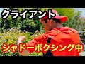 ボクシング動画！