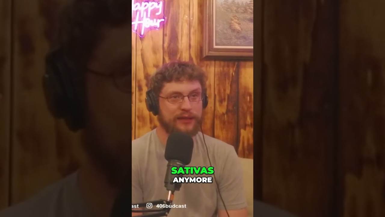 Black Mamba Strain: The Pure Indica You Need