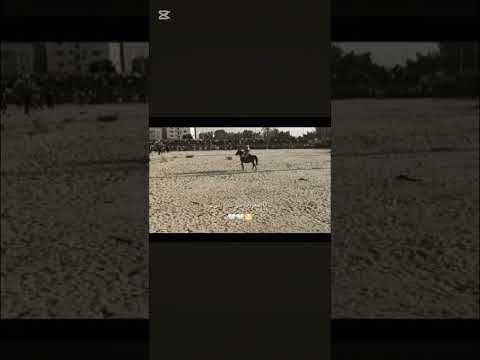 انا الكرار جني عباس حسين اسلام على كفيل زينب تصميم فيديوهات لايك