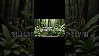 365일 우리식물 이야기 5월 23일 천남성