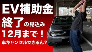 今年のEV補助金は12月まで!年内納車できなかったらEVいらない人が続出!?