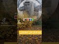 احمد تلاوي Ahmad Telawi30 يايوم فراق خلي صفر لوني 