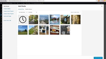 Wordpress Basics | Classic Editor: Adding Images and Image Settings