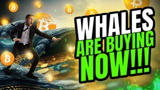 BITCOIN YOU HAVE TO SEE THIS !!! EP 1013