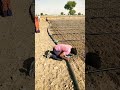 Drip Irrigation Working Shorts
