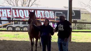 Flame The Bucking Horse Pt 1 Drop Off Day