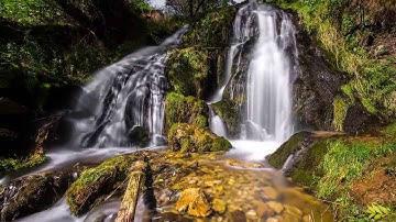 سورة آل عمران بصوت القارئ سالم عبد الصالحين