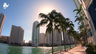 Из-за климатических проблем Miami Beach рискует потерять свой символ