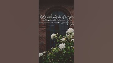 القرآن الكريم/ ياسر الدوسري/اكتب شيء تؤجر عليه/ اللهم صلِ على محمد وآلِ محمد 💗