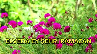 VARIP DERGAHINA SELAM VEREYİM