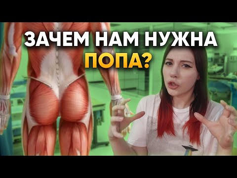 Вот зачем человеку нужна ПОПА | DeeaFilm