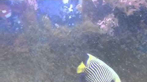 Paul Talbot talking about why you should allow growth on yo