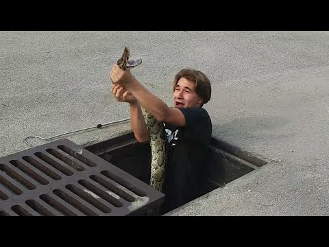 15 FOOT Invasive SNAKE Caught while Fishing in SEWER! (HELP Identify) 