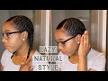 Easy Lazy Natural Hairstyle| 2 Braids Protective Style | NATURAL HAIR