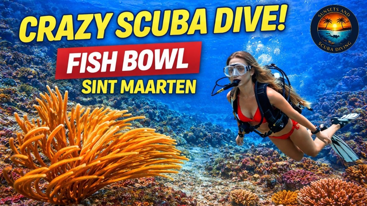 Sunsets and Scuba Diving