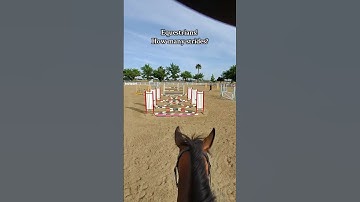 Count strides😉ctto:jacquelinefranzia #horse #equestrian #horseriding #viralshorts #trending #fyp