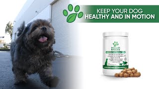 Joint Supplement for Dogs Review