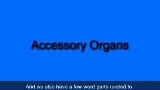34 Chapter 08 Part 01 Word Parts Net Worth