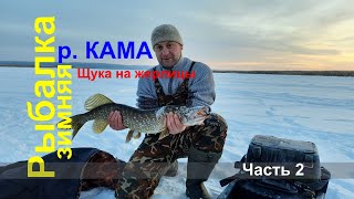 Зимняя РЫБАЛКА на р. КАМА/ЩУКА на жерлицы/НОЧЁВКА и быт на ЛЬДУ в -25/Часть 2