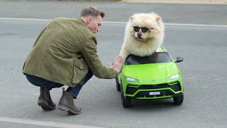 I BOUGHT MY DOG HIS DREAM CAR | Spend The Week With Us | Carl Cunard
