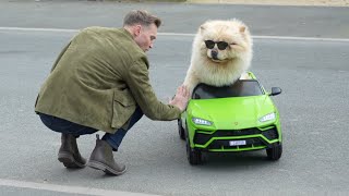 I Bought My Dog His Dream Car | Spend The Week With Us | Carl Cunard