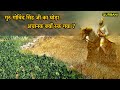 गुरु गोबिंद सिंह जी का घोड़ा अचानक क्यों रुक गया ? Shri Guru Gobind Singh Ji | SGGS Ang 554