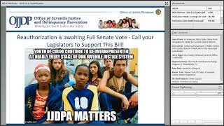 Challenges of Female Programming in the Juvenile Justice System
