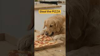 Dinner Thief #funny #dog #dogs #dogshorts #funnydogs #funnydog #viral #viralvideo #thestupids