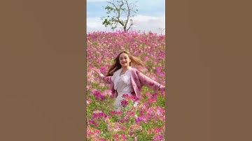 Khám phá góc check-in Hoa Trong Rừng mùa này 🥰 #flowers #dalat #theflorest #dalattrip