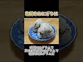 塩昆布おにぎりはヘルシーなのかを検証