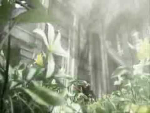 Nickelback - Next Contestant - Advent Children.flv