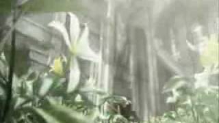 Nickelback - Next Contestant - Advent Children.flv