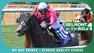 My Boy Prince - 2025 - Elusive Quality Prince Horse