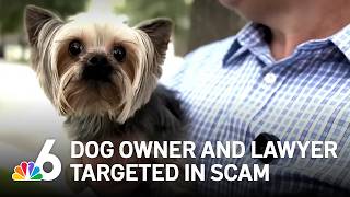 Homeowner targeted in sophisticated fake dog attack scam