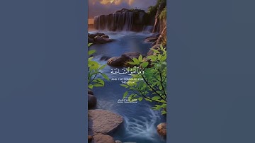الـقـارئ  : ياسر الدوسري ||سورة النحل
