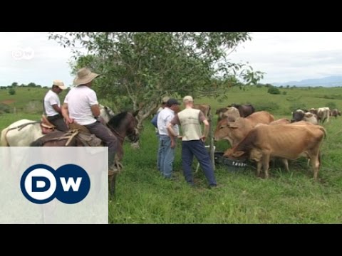 Video: Ohne Welchen Erfolg Ist Unmöglich?