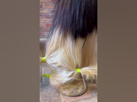Прическа из щеток #лошади 😂👍 - YouTube