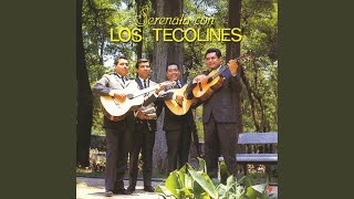 Video thumbnail of "Los Tecolines - Piensa en Mi"
