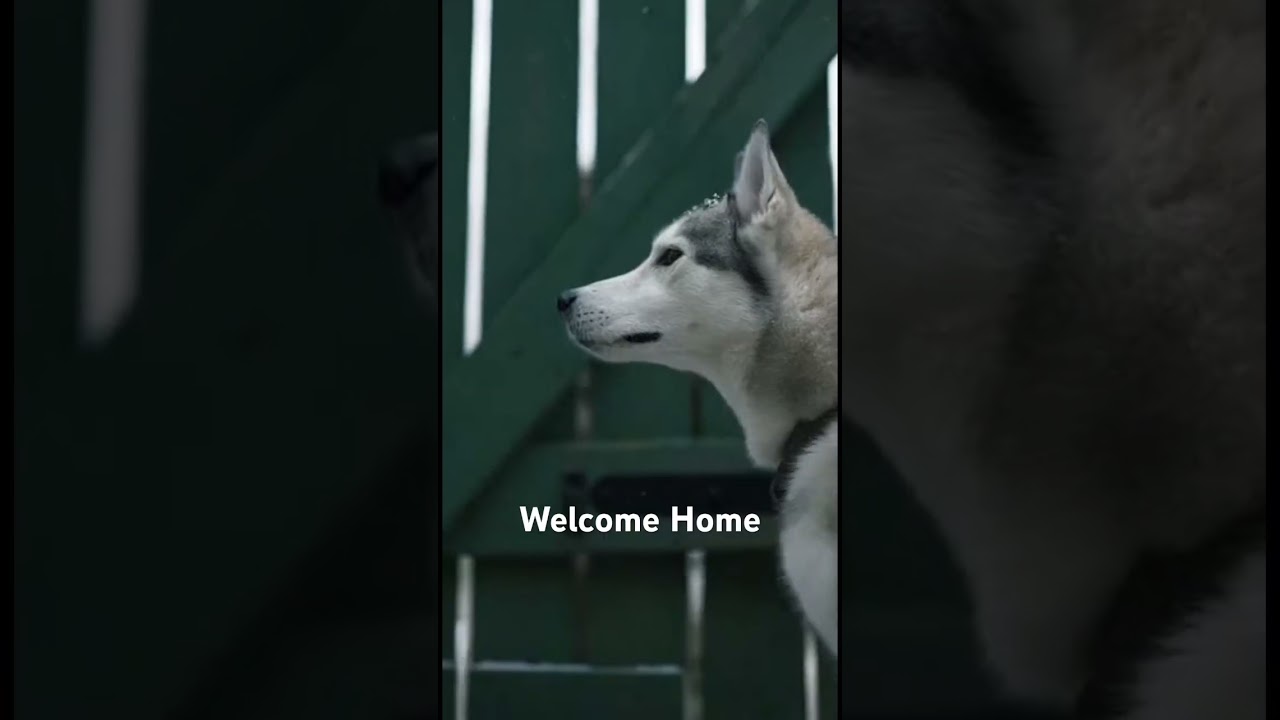 Being gone for so long takes a toll - welcome home 