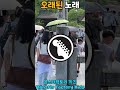 초등학생이 부르는 오래된 노래 풀버전 더리슨 Sbs 스탠딩에그