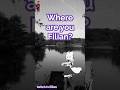 Where are you Filian #filian #filianvtuber #arg #filianarg