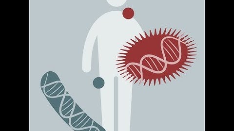 Microbiome Analysis 2023 | 06: Metatranscriptomics