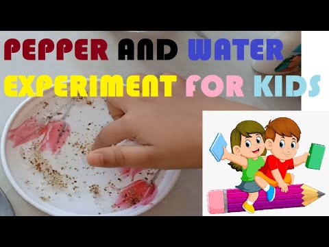 @snigdhasardardance Pepper & Water- SCIENCE EXPERIMENT FOR KIDS | EASY EXPERIMENT | Surface Tension
