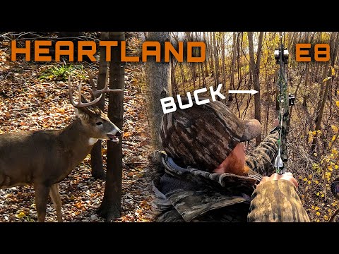 Rutting Buck At The Base Of The Tree, Bow Hunting An Illinois Giant #hunting #deerhunting