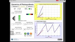 Virtual Photosynthesis Lab