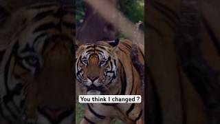 You Think I Changed  No  wildlife trending