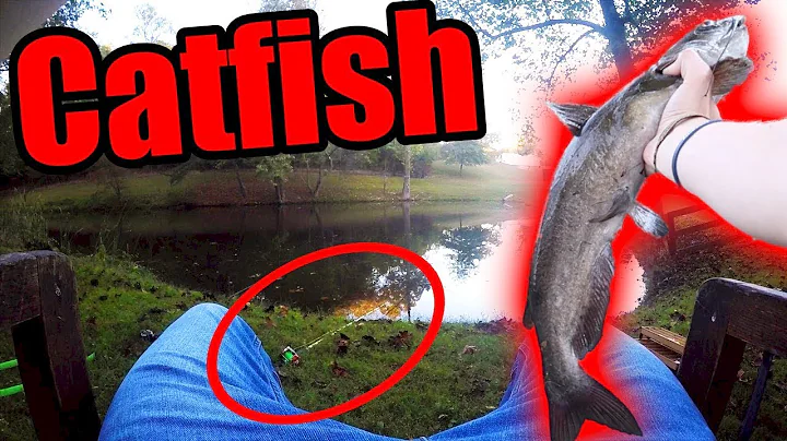 Catfish ALMOST Stole My $300 FISHING ROD!